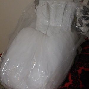 Quinceanera dress / Poofy Wedding Dress